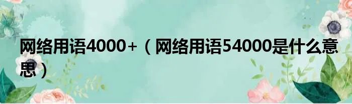 网络用语4000+（网络用语54000是什么意思）