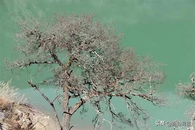 如何做好一个景点的推广方案?