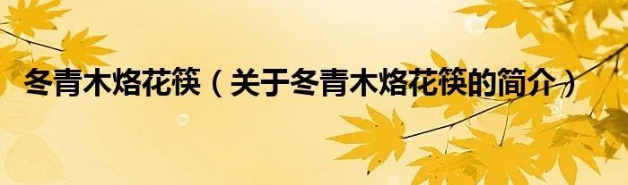 冬青木烙花筷（关于冬青木烙花筷的简介）