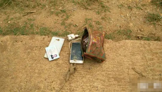 云南野象伤人事件造成多大损失?