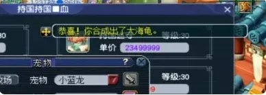 梦幻西游合宠攻略