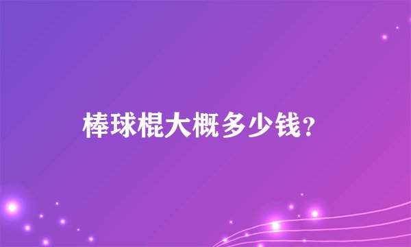 棒球棍大概多少钱？