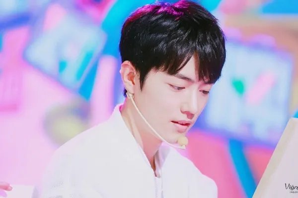 跨年演唱会三台都在抢肖战，你认为肖战会去哪家电视台？