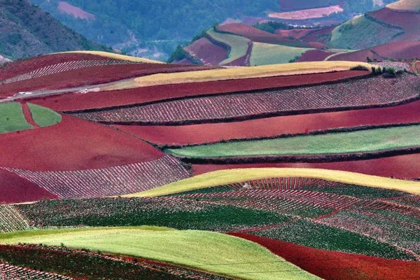 五一自驾游好去处 五一自驾游去哪