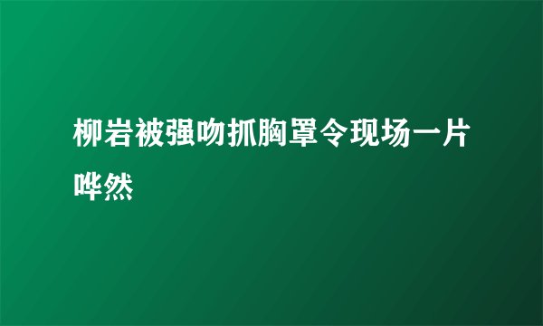 柳岩被强吻抓胸罩令现场一片哗然