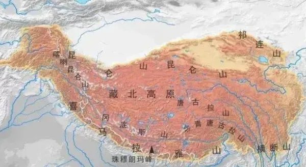 印度的蝗虫灾害会蔓延到中国吗?为什么?