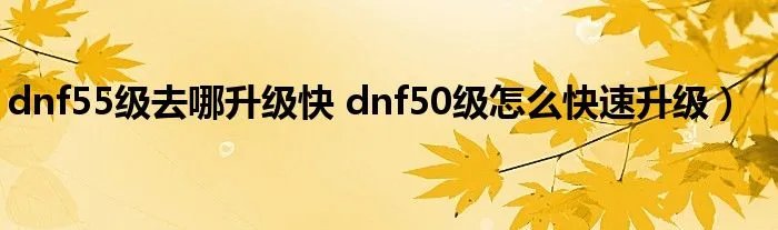 dnf55级去哪升级快 dnf50级怎么快速升级）