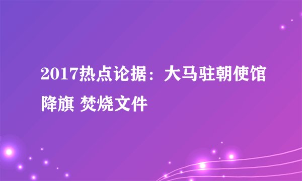 2017热点论据：大马驻朝使馆降旗 焚烧文件