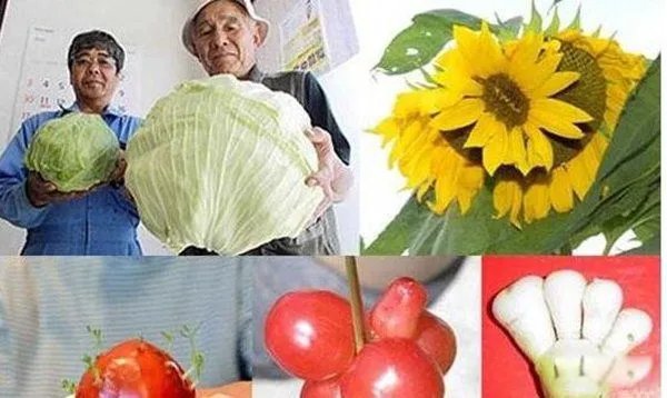 辐射幽灵婴儿是什么意思 日本核电站福岛变异人照片曝光