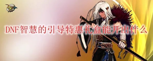 DNF智慧的引导特惠礼盒能开出什么