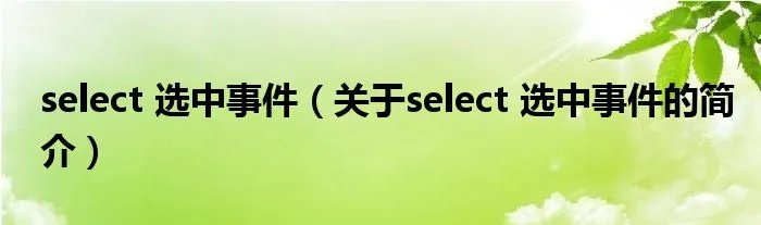 select 选中事件（关于select 选中事件的简介）