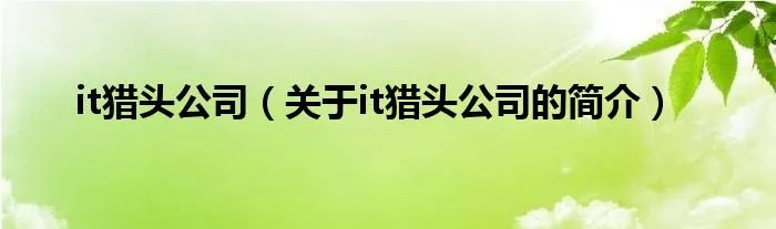 it猎头公司（关于it猎头公司的简介）