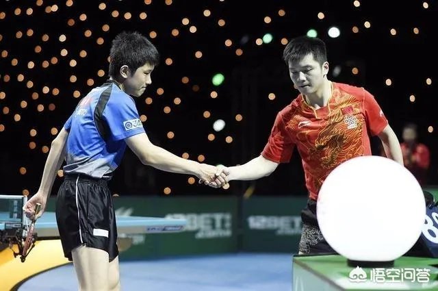 樊振东输张本智和