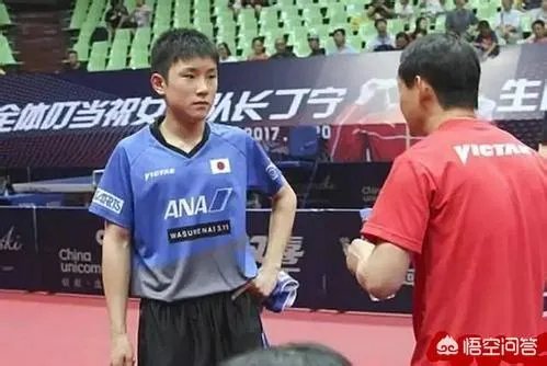 樊振东输张本智和