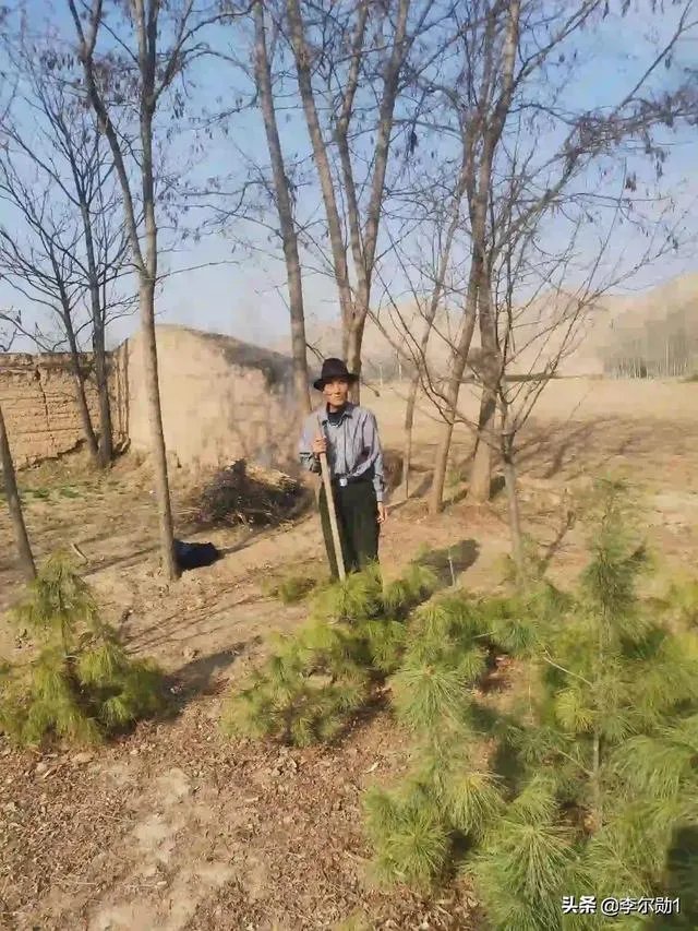 现在70岁左右的人算不算是老年人？