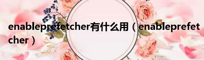 enableprefetcher有什么用（enableprefetcher）
