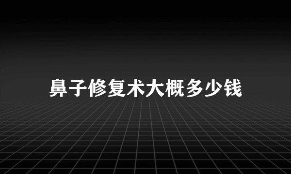 鼻子修复术大概多少钱