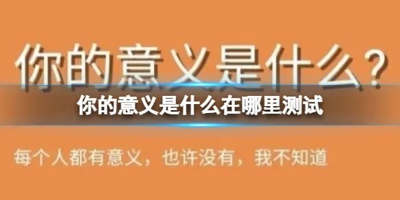 你的意义是什么在哪里测试 你的意义是什么测试地址分享