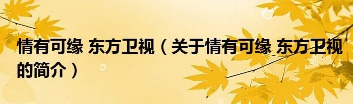 情有可缘 东方卫视（关于情有可缘 东方卫视的简介）