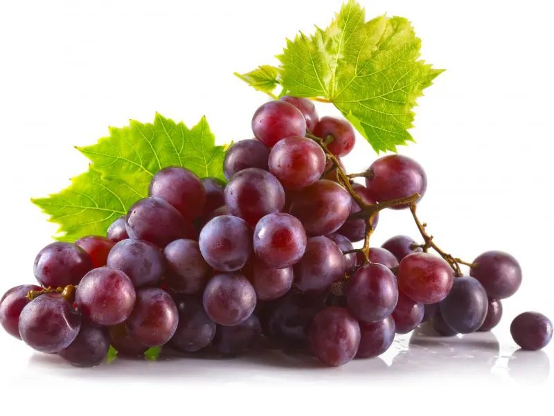 白葡萄酒的作用