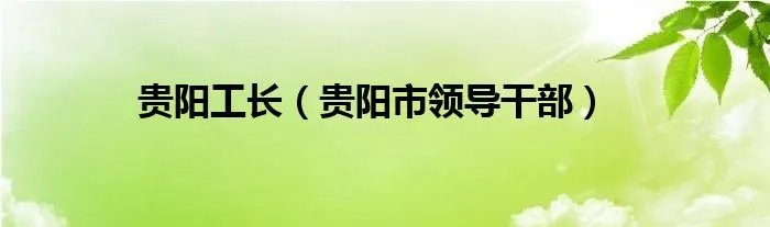 贵阳工长（贵阳市领导干部）