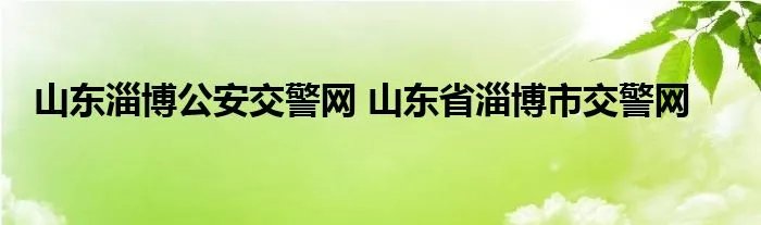 山东淄博公安交警网 山东省淄博市交警网