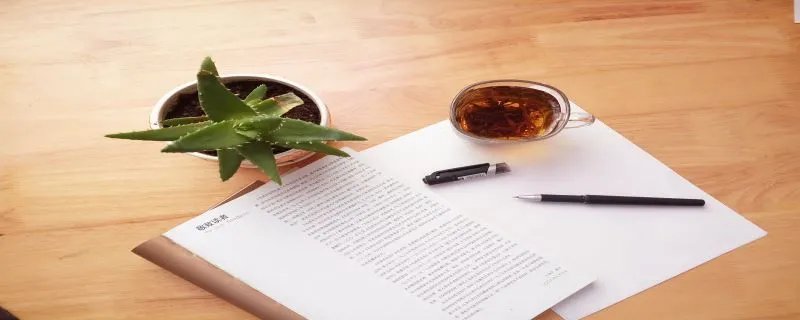 以梦为马 不负韶华是什么意思