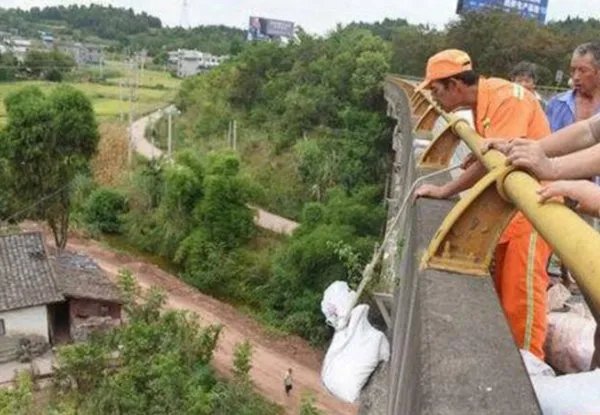 村民顺走工业盐后政府如何作为？