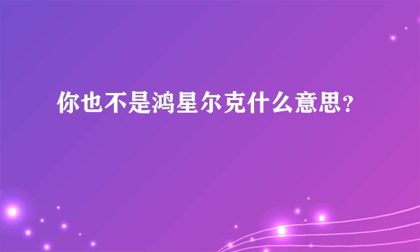 你也不是鸿星尔克什么意思？