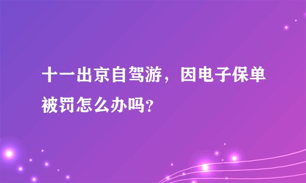 十一出京自驾游，因电子保单被罚怎么办吗？