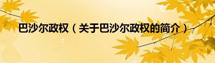 巴沙尔政权（关于巴沙尔政权的简介）