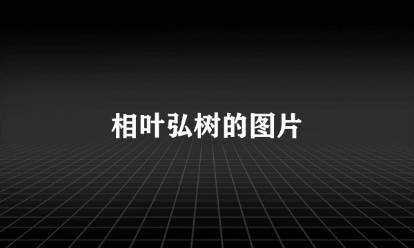 相叶弘树的图片