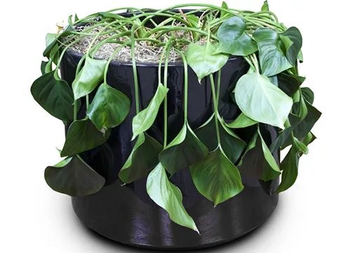 室内甲醛怎么检测 检测室内甲醛的四个方法