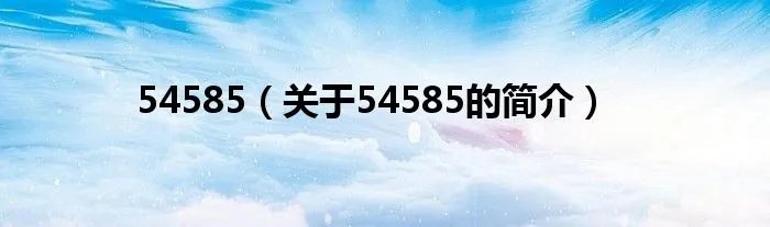 54585（关于54585的简介）