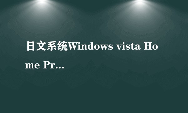 日文系统Windows vista Home Premium下Vistalizator.exe打不开