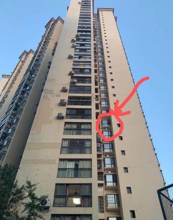 四川一小区绿化带发现男尸,是轻生还是另有隐情?