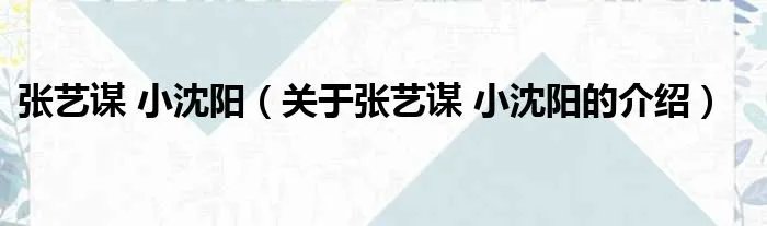 张艺谋 小沈阳（关于张艺谋 小沈阳的介绍）