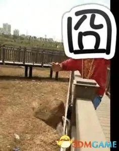 主播直播打砸公园设施 为了涨点粉丝主播也蛮拼