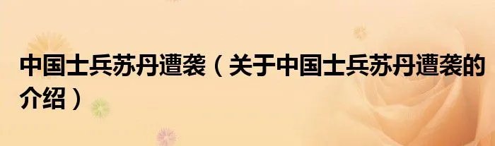 中国士兵苏丹遭袭（关于中国士兵苏丹遭袭的介绍）