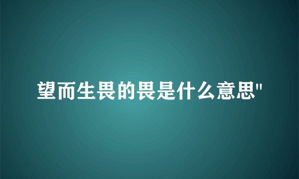 望而生畏的畏是什么意思