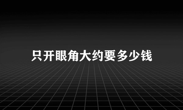 只开眼角大约要多少钱