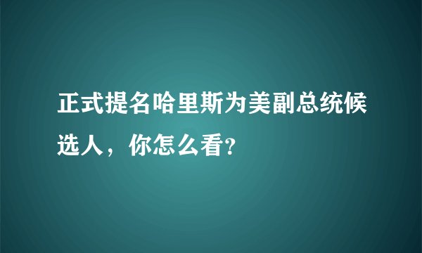 正式提名哈里斯为美副总统候选人，你怎么看？