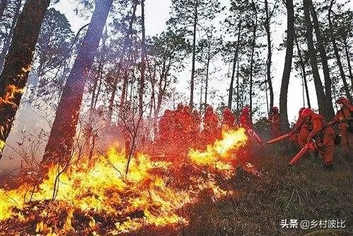 西昌山火为什么会死这么多人?