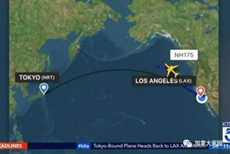 上错飞机全机折返 上错飞机为什么全机折返？