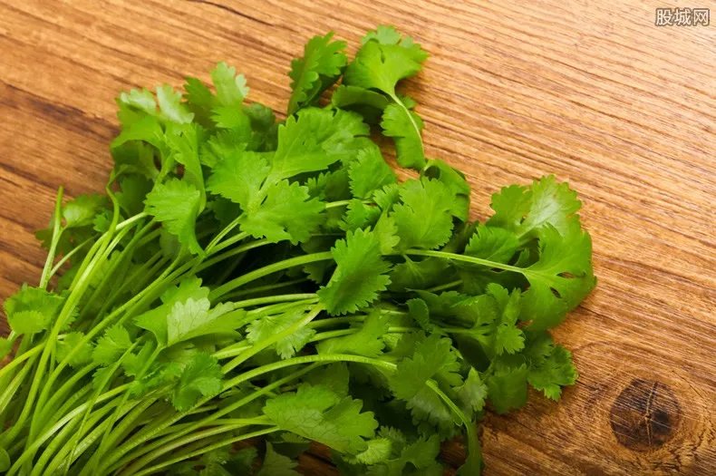 香菜拼出西湖美景 西湖有什么好玩的地方