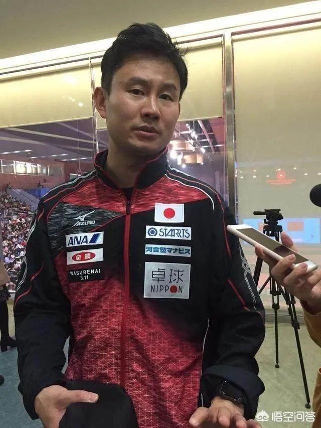 樊振东输张本智和
