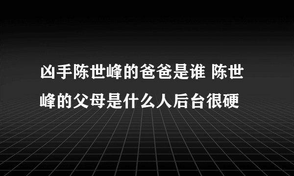 凶手陈世峰的爸爸是谁 陈世峰的父母是什么人后台很硬