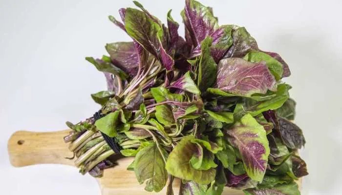 2023秋分节气吃什么传统食物 2023秋分有哪些饮食习俗