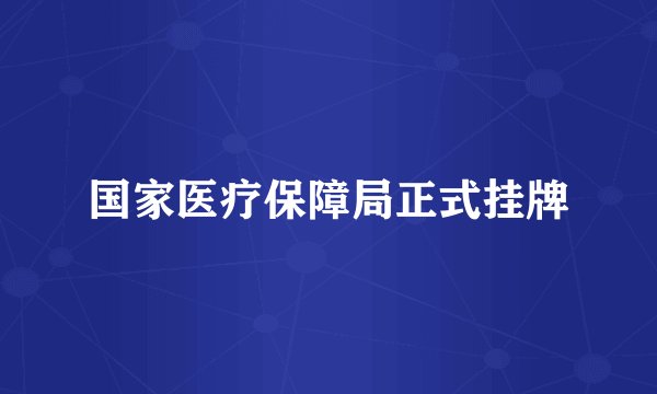 国家医疗保障局正式挂牌