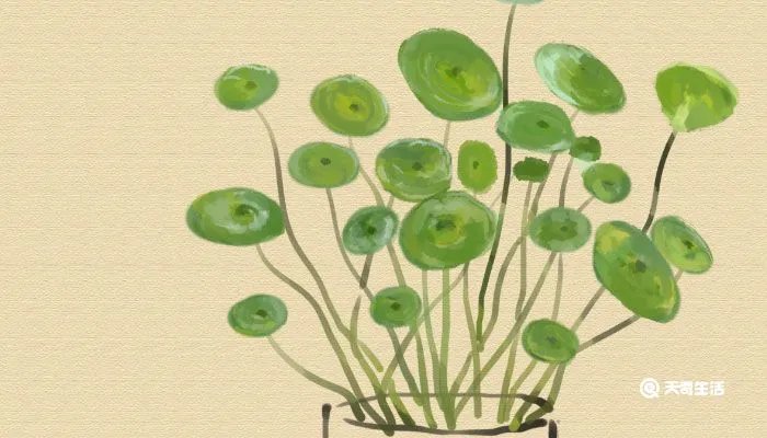 女神节祝福语唯美简短